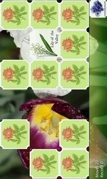 Flower Pairs游戏截图3