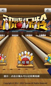 3D動感保齡球2游戲截圖3