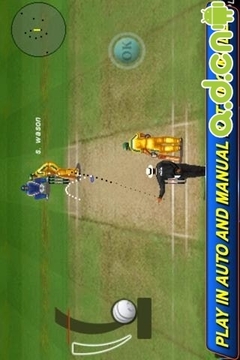 T20板球世界杯2012游戲截圖2