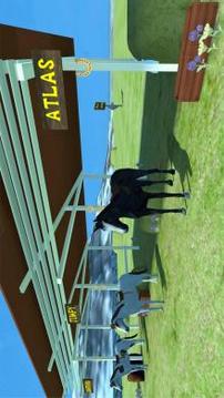 Horse Show Jumping VR游戲截圖2