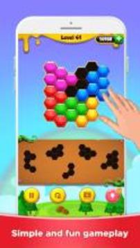 Hexa Puzzle - Block Puzzle Master游戲截圖2
