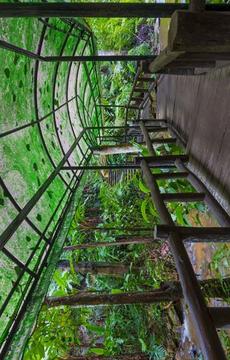 Escape Games - Nursery Garden游戲截圖4
