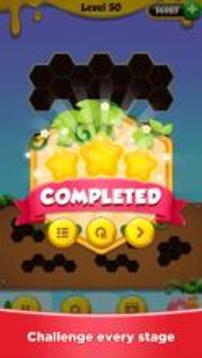 Hexa Puzzle - Block Puzzle Master游戲截圖3