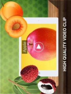 水果 闪存卡游戏截图3