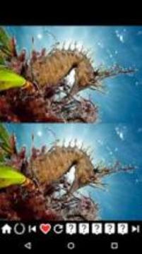 Ultra Spot Ocean 2018 (Find the difference)游戲截圖4