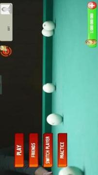 Fox 8 Ball游戲截圖3