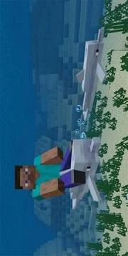 MOD Dolphin Riding Addon游戲截圖1