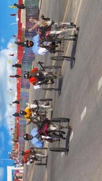 Donkey Cart Racing Simulator: Cart Transporter游戲截圖2