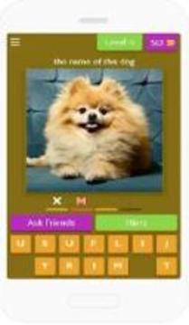 guess dogs游戲截圖4