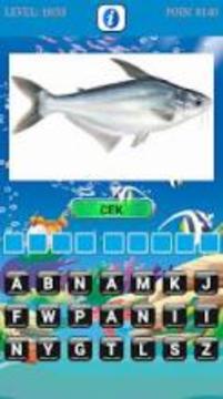 Tebak Jenis Ikan游戲截圖1