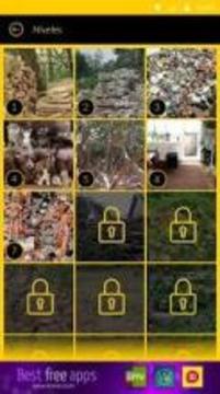 Spot the cat *游戲截圖1