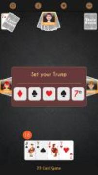 29 card game free游戲截圖4