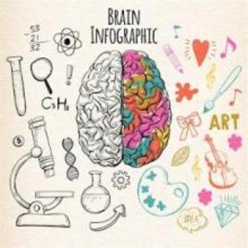Kids Brain Quiz GK (General Knowledge)游戲截圖5