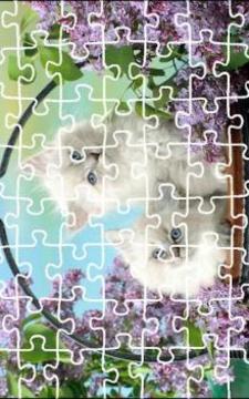 Cat Jigsaw Puzzle King游戲截圖4