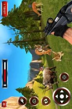 3d Wild Animal Hunting Jungle Shooter游戲截圖5