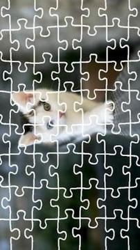 Cat Jigsaw Puzzle King游戏截图5