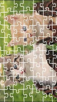 Cat Jigsaw Puzzle King游戏截图2