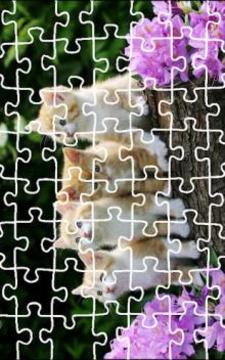 Cat Jigsaw Puzzle King游戲截圖1