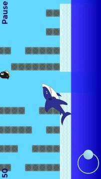 Penguin vs Shark - Penguin Run游戲截圖4