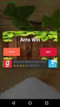 Ant Smasher- 2018游戲截圖5