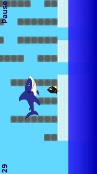 Penguin vs Shark - Penguin Run游戲截圖5