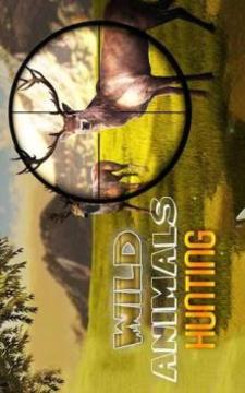 Evil Hunter: Wild Animal Hunting游戲截圖3