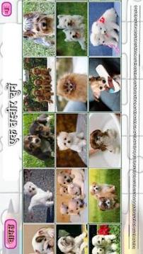 Puppies Puzzles (?????? ????????)游戲截圖2