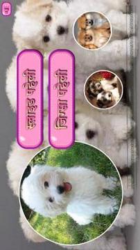 Puppies Puzzles (?????? ????????)游戲截圖5