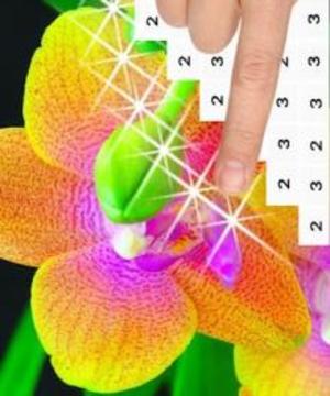 Color by Number: Flowers Pixel Art Game游戲截圖1