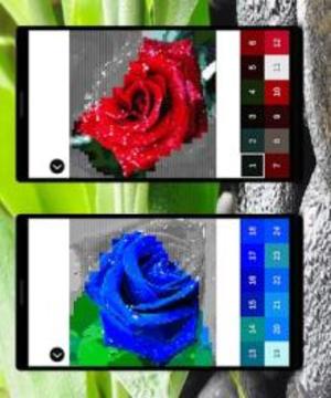 Color by Number: Flowers Pixel Art Game游戲截圖2