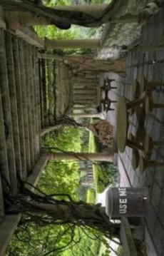 Escape Game Challenge - Garden游戲截圖4