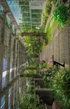 Escape Game Challenge - Garden游戲截圖5