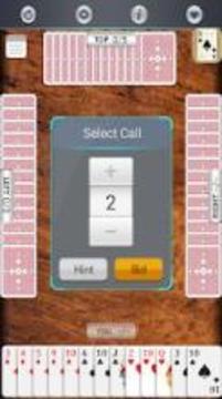 Call Bridge Master游戲截圖5