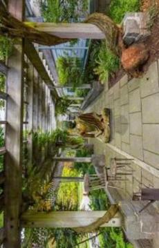 Escape Game Challenge - Garden游戲截圖2