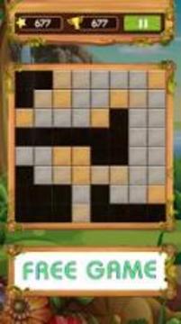 Block Wood Puzzle 2019游戲截圖1