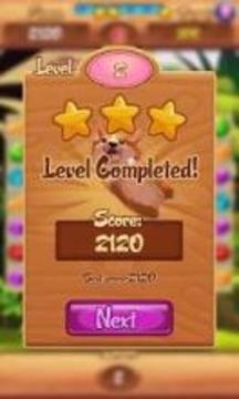 The Wizard Of Corgi - Match 3 Puzzle游戲截圖4