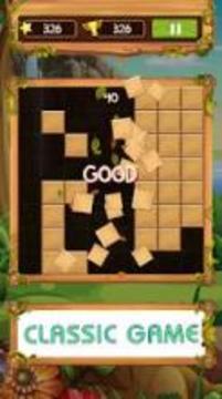 Block Wood Puzzle 2019游戲截圖2