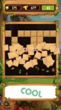 Block Wood Puzzle 2019游戲截圖3