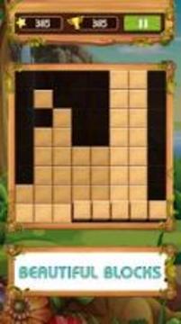Block Wood Puzzle 2019游戲截圖4