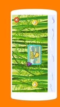 Turtles Hero Ninja : Jumper游戲截圖1