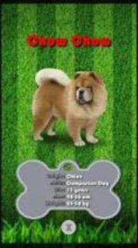 Puppy Dogs GO! Pocket Edition游戲截圖2