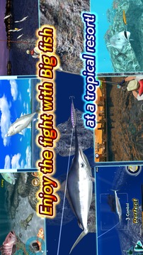Excite BigFishing Ⅲ游戲截圖2