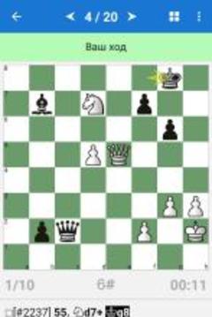 卡爾亞金 (Karjakin) - 精英棋手游戲截圖1