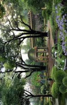 Town Park House Escape游戲截圖2