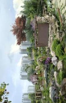 Town Park House Escape游戲截圖4