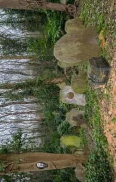 Escape Game Challenge - Cemetery游戲截圖3