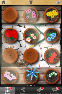 Flower Garden游戲截圖6
