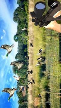 Duck Hunting Challenge游戲截圖4