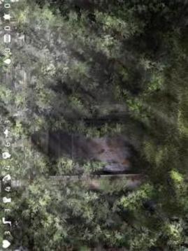 Echoes of the Blue Fish游戲截圖4