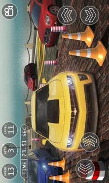 Dr Parker Car Parking School Sim 3D游戲截圖1